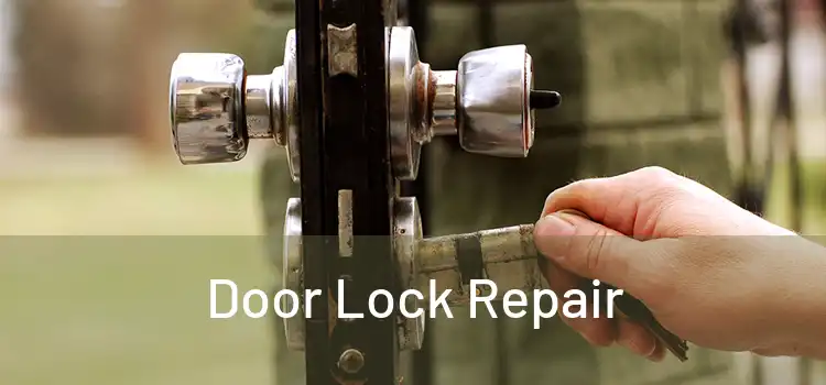 Door Lock Repair