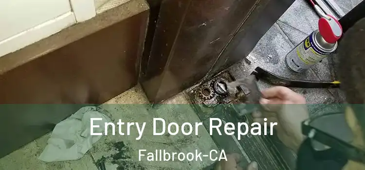 Entry Door Repair Fallbrook-CA
