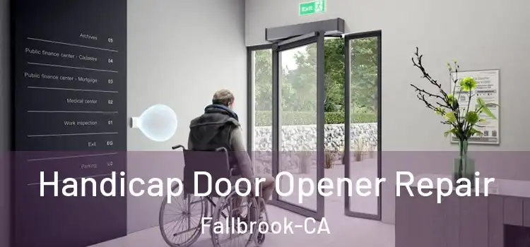  Handicap Door Opener Repair Fallbrook-CA